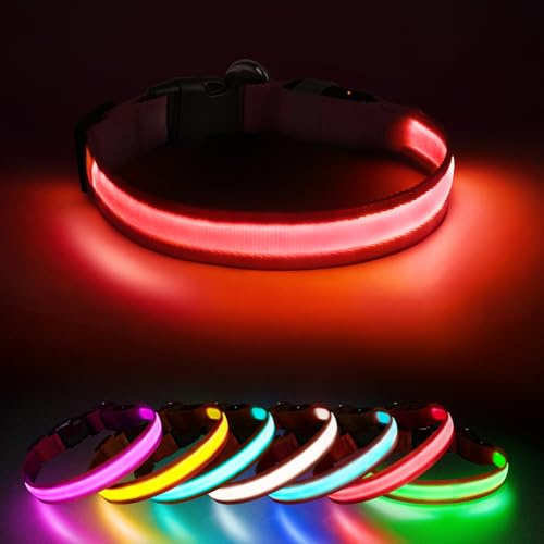 Jewyow Leuchthalsband Hund, Hundehalsband Leuchtend, 7 in 1 Farben Leuchthalsband Hund, Wiederaufladbares USB-C LED Halsband mit Wasserdicht für Kleine,Mittlere,Große Hunde-Rot-S