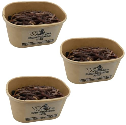Generisch Dendrobena Würmer/Angelwürmer – 3 x 20 Stück der Grösse M | insgesamt 60 Würmer | Perfekt für Angler, Terrarien & Kompostierung