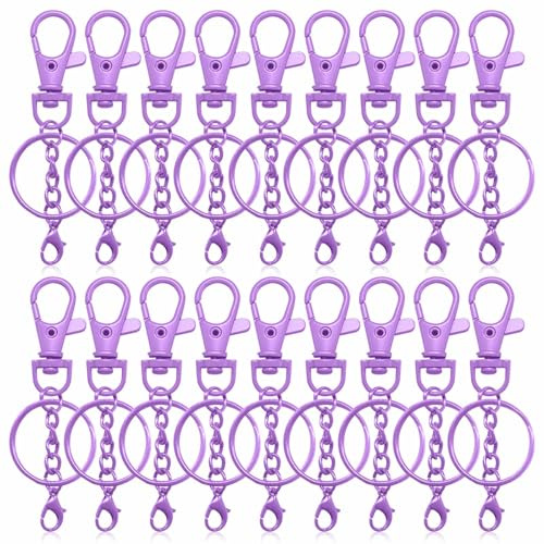 50 Piezas Mosquetones Pequeños,Argollas para Llaveros,Anilla Llavero para Hacer Joyas y Manualidades