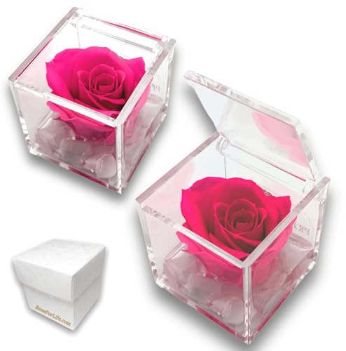Stabilisierte Fose Fuchsie Duftende Immerwährende Rose, Geschenk für Frauen und Muttertagsgeschenk, Hochzeitsgeschenk, Geburtstag, Konfirmation, Taufe Geschenke für die Freundin (Fuchsia - A 1052)