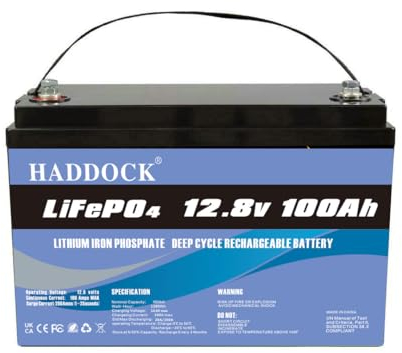 LiFePO4 Batterie 12V 100Ah, Lithium Eisenphosphat Batterie anstelle von Auto AGM Deep Cycle Batterie , für Wohnmobil, Boot, Solaranlage usw