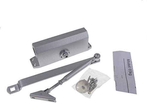 Hydraulischer Türschließer Torschließer Tür Tor Stangentürschließer (Kraft: bis 65Kg)