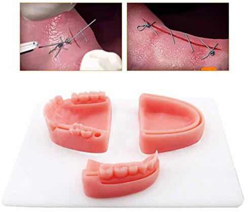 Huili 3-in-1 Oral Suture Training Modell - Oral Suture Training Modell Medizinisches Lehrmodul - Simulation Nachahmung Oral Multiple Wundarten Silikon Lehrmodul Gingival Training