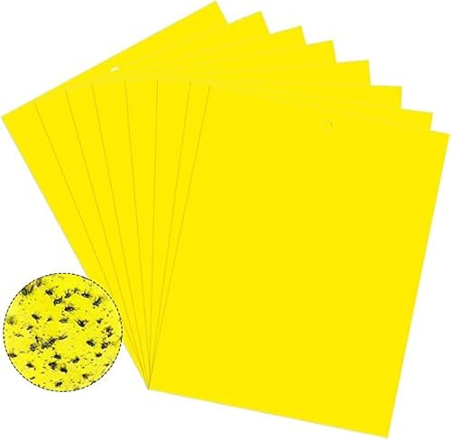 20 Stück Klebrige Fallen Gelbe Klebrige Papiere für Weiße Fliegen, Trauermücken bekämpfen, Gelbtafeln Trauermücken gegen kleine fliegen in Blumenerde