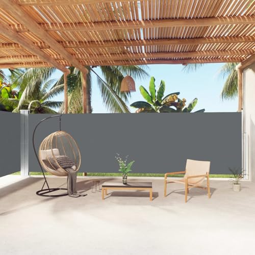 Iiaky Seitenmarkise Ausziehbar Anthrazit 180x1000 cm Senkrechtmarkise AußEn Senkrechtmarkise Balkon Windschutz Camping Terrassen Sichtschutz