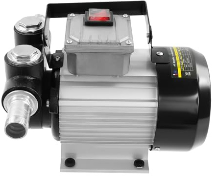 Bomba diesel, 220 V, bomba de aceite calefactor autocebante, 20-60 l/min, 2800 rpm, bomba de aceite, bomba de combustible, 5 m, bomba de extracción de aceite profesional, bomba de combustible, bomba