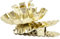 Creative 559371 Clip on Candle Holder, Gold-Plated, 40 mm Diameter, 8 Pieces