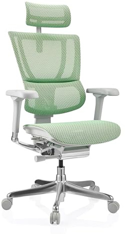 hjh OFFICE Bürostuhl ergonomisch ERGOHUMAN Slim G GEN2 Originales Design, 24h Einsatz, Drehstuhl mit Flexibler Lordosenstütze, Netz Grün