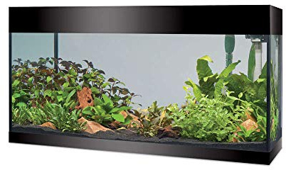 Askoll Aa350053 Acquario Pure LED, XL, Nero
