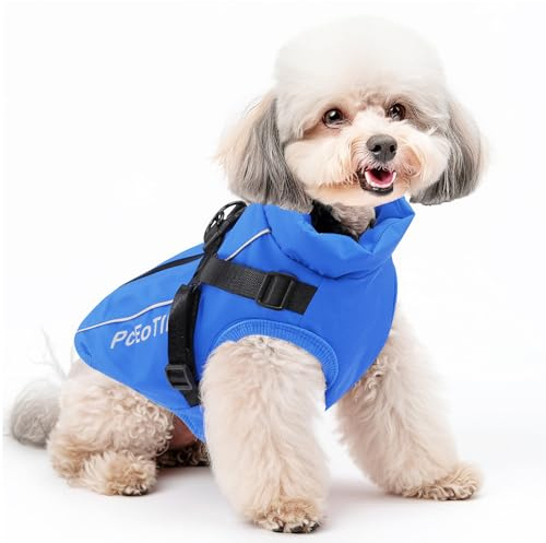 PcEoTllar wasserdichte Jacke mit Geschirr für kleine Hunde, Blau XXL | Warme reflektierende Jacke mit Geschirr für Winter. Ski-Kostüm, Baumwolle, Hundepullover für kleine Hunde