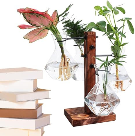 Bexdug Fioriera in vetro con supporto, terrario con supporto,Vaso in vetro a bulbo idroponico - Moderna stazione di propagazione delle piante, vaso in vetro con bulbo per fioriera ad aria per fioriera