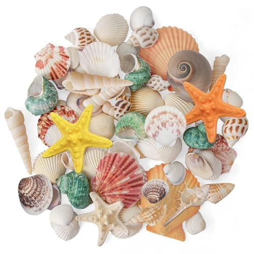 Qiblaou Conchas Marinas Naturales 200 g con Estrella de mar Conchas Marinas Mixtas de Playa, 2-8 cm Concha de Mar Decoracion, Adecuado para Rellenos de Peceras, Fiestas Temáticas de Playa