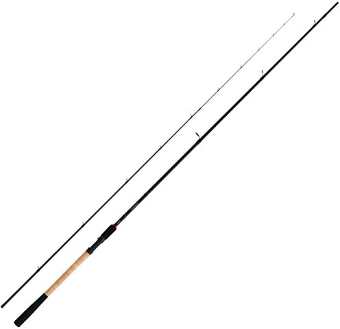 SHIMANO Pickerrute Friedfischrute Angelrute - Aernos 2,44m 40g Commercial