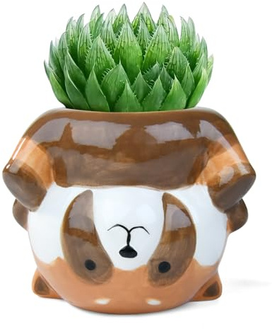 YINUOWEI Süßer Sukkulenten-Übertopf Blumentopf für Kaktus Bonsai Gartendekoration Waschbär