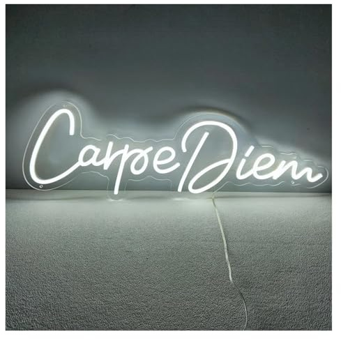 SHOUXI Decoración Lámparas Carpe Diem Letrero De Neón Luz Para Decoración Colgante De Pared Para Club Fiesta Tienda Hogar Dormitorio Cumpleaños Lámpara Iluminada 16.54inx5.79in