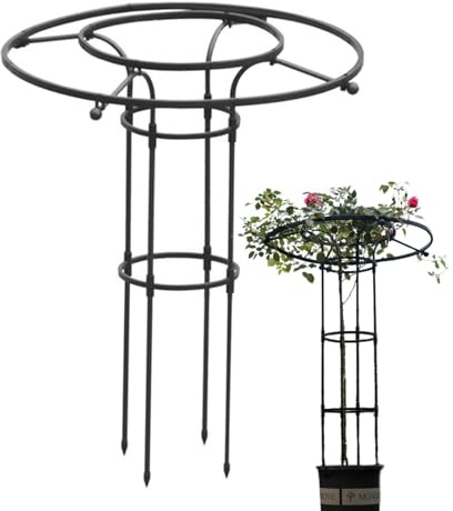 Celosía para Plantas Trepadoras | Soporte para Enredaderas De Jardín | Estructura Metálica Vertical En Forma De Paraguas para Flores Y Plantas Trepadoras