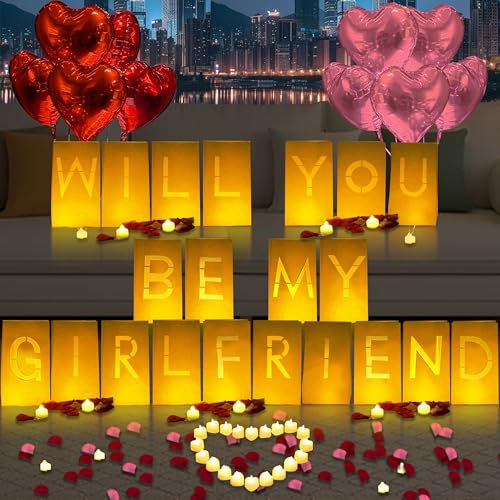 Will You Be My Girlfriend Lighted Letters Sign 21pcs Luminary Paper Bags 2000pcs Red Pink Artificial Rose Petals 48pcs Flameless LED Candle Tealight 10pcs Heart Balloons Romantic Night Valentine's Day