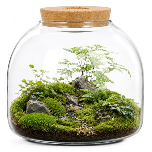 SUPVOX Pot de terrarium en verre pour plantes grasses – Vase rond – Boîte transparente avec couvercle en liège – Rangement polyvalent pour biscuits et bonbons