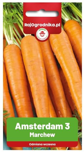 Carottes Amsterdam 3 graines 5g - Paradis du jardinier