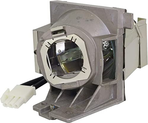 Générique Huaute RLC-109 Lampe de projecteur pour Viewsonic RLC-109 PA503W / PG603W / PS501W / PS600W / VS16907 Remplacement Lampe de projecteurs