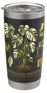Variegated Monstera Albo Vintage Botanical Anatomy Study Stainless Steel Insulated Tumbler