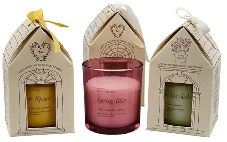 Doni Bomboniere Matrimonio 12PZ Candela Profumata in Barattolo Vetro Profuma Ambienti Candele Comunione Cresima Battesimo con Scatolina A Forma di Casetta Assortita 3 Profumazioni E Colori Idee
