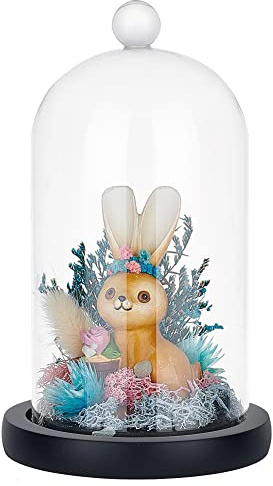PH PandaHall Glass Cloche Bell Jar Display Dome Case with Wood Base Glass Decoration Bottles for Plants Flower Display Clay Succulents Storage Home Christmas Party Favor Decoration 4.3x7.2 inch