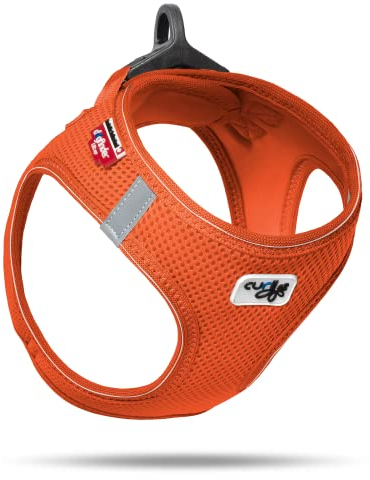 Vest Harness D-Ring Buckle Mandarin XS