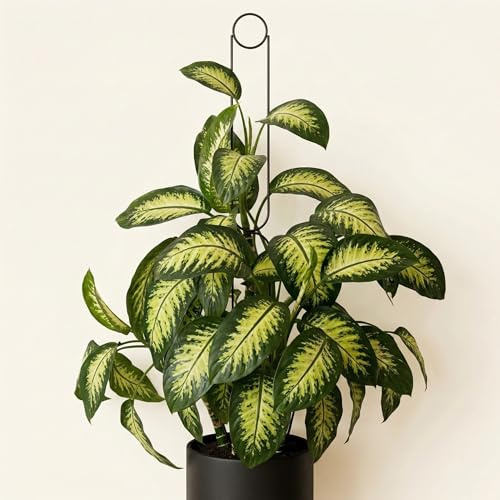 LEAFLO Sunrise Rankhilfe für Zimmerpflanzen 145 cm | Metall - Pflanzenstütze - Rankgitter - Blumengitter | Die höchste Metallhalterung auf dem Markt!