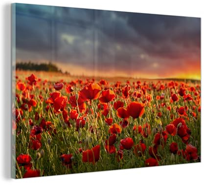 MuchoWow© Stampe In Vetro Immagine Giorno Interni Notte Moderno Accessori | 60x40 cm - Arredo Poster Murale Cornice Decorazione Pareti Tramonto - Papaveri - Rosso - Fiori - Campo - Natura