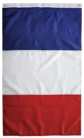 Drapeau français couleurs vives drapeau national français drapeau de jardin résistant aux fonds avec des œillets drapeau en polyester drapeau français avec œillets 60x90cm