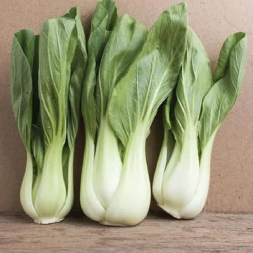 Pak Choi, White Stem Cabbage Seeds - 75 Seeds, Crisp, Tender, Asian Delicacy- Heirloom, Non-GMO Perfect for Home Gardening.