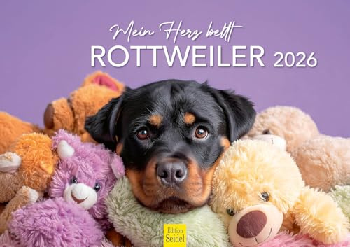 Edition Seidel Calendario premium con texto en alemán «Mein Herz ladrt Rottweiler», 2026, DIN A3, calendario de pared, calendario de animales, perros, cachorros, niños, razas de perros y mascotas