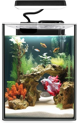 iPriro Glass Betta Aquarium Starter Kits 1.5 Gallon Small Fish Tank, Betta Fish Tank with LED Light, Power Filter, Black. 4mm Glass