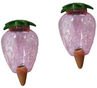 SUPVOX 2 Pièces bulbe d'arrosage des Plantes système haws mangeoire arrosage d'arrosage Globes d'arrosage à la Maison Dispositif d'arrosage en Forme de Fraise Plastique Rose