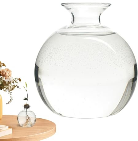 Vaso per semi di avocado - vaso di semi di avocado, vasi in vetro | Semi da giardino in vetro per piantare vasi per casa, tavolo e scrivania per interni, decorazione per la casa, la tavola