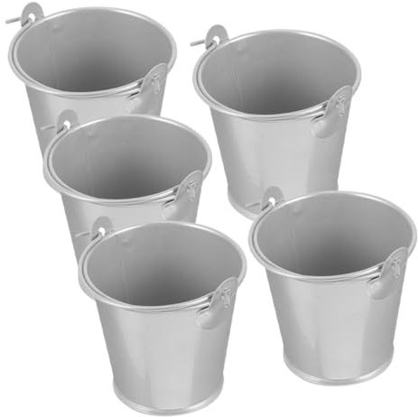 Ciieeo Cubo de Hojalata para Plantas Pequeñas 5 Piezas, Plata | Suculentas y Flores Secas, Estilo Retro Clásico Moderno Rústico, Útil en Fiesta y Decoración del Hogar