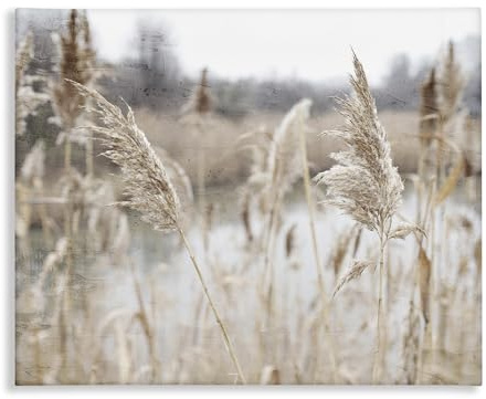 Stupell Industries 'Rural Pampas Grass Reeds Lakeside Pond Marsh', Canvas Art, 20 x 16 - USA Made Ready For Hanging