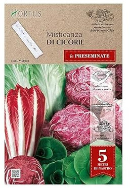 Hortus Semi misticanza cicorie Nastro preseminate
