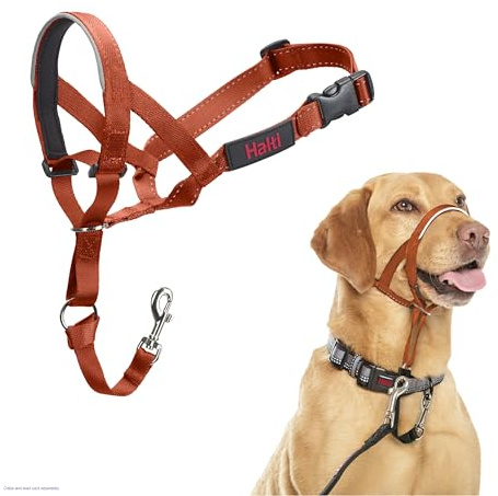 HALTI Headcollar - För att hindra din hund från att dra i kopplet. Justerbar och lätt, med vadderat näsband. Anti-draghalsband för hundträning för medelstora hundar (Storlek 3, Bränd Apelsin)