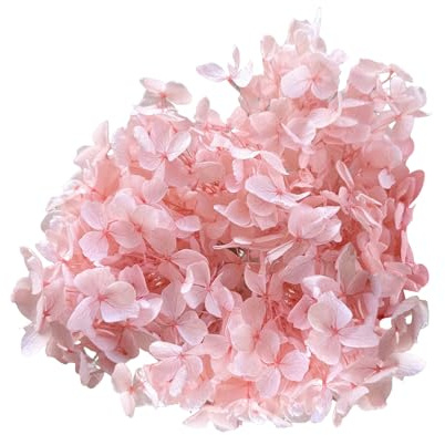 Gkhlg Paquete de 1 hortensia de flores secas naturales decorativas para decoración de pasteles, cupcakes, proyectos de manualidades, flores secas para decoración de panaderos, planificadores de