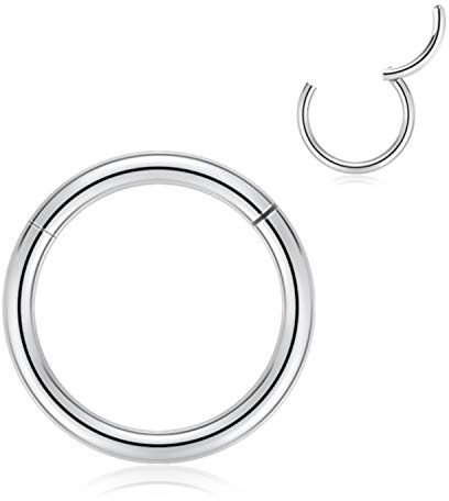 AROWRO 316L kirurgiskt stål gångjärn näsringar ring 20G 18G 16G 14G 12G 10G 8G 6G 4G sömlösa piercingringar för näsa septum brosk helix tragus conch rook daith lobe diameter 6 mm till 14 mm, Legerat