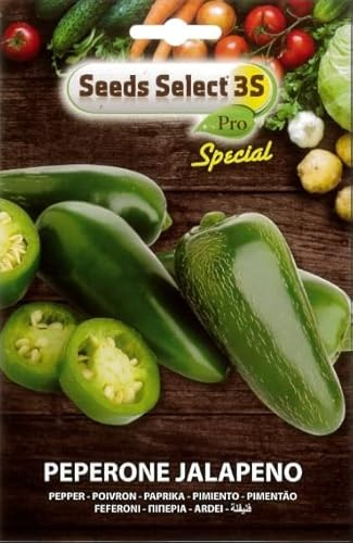 SEMI SEMENTI DI PEPERONE JALAPENO IN BUSTINA