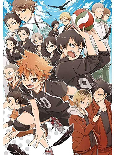 Haikyuu!! ¡¡¡ Anime Poster-11 x 17 pulgadas, 28 x 43 cm