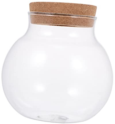 Abaodam Glasflasche Ökologisches Terrarium DIY Landschaftsbau Dekoratives Moos Pflanzen Aquarium Zubehör Transparentes Glasgefäß für Büro