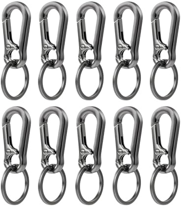 MYGLOAR Set 10 pezzi portachiavi con moschettone, ganci moschettone, portachiavi piccoli in metallo, portachiavi con moschettone da appendere allo zaino, chiavi auto, zincati