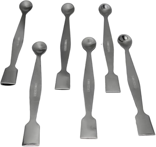 Spatola in acciaio inox lunga 20 cm, set di 6 punte doppie per laboratorio chimico estremità piatta