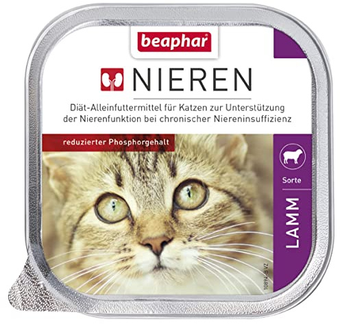 beaphar - Régime rénal pour Chats - Aliment diététique - Teneur réduite en phosphore - avec Huile de Saumon précieuse - pour Soutenir la Fonction rénale - Nourriture Douce pour Les gourmets - 1 x 100