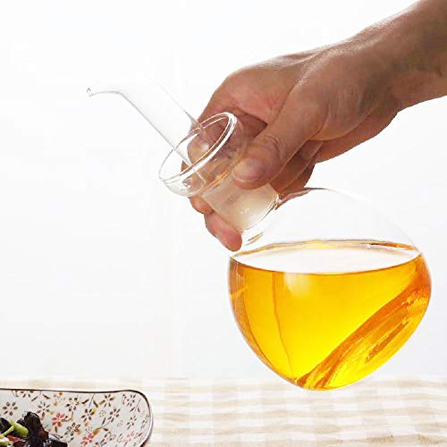 HAIZEEN 540ml Ampolla Multiuso in Vetro, Decanter per Olio in Vetro e Ampolla per Cucina e Barbecue.