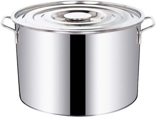 Olla grande y profunda de acero inoxidable, olla profesional de acero inoxidable con tapa, apta para varias fuentes de calor, 20 L